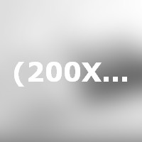 Temporibus Autem Quibusdam